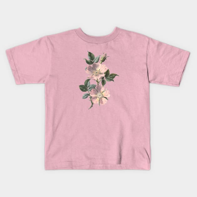 Dog Rose Illustration Kids T-Shirt by Biophilia